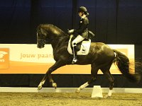 Kartsevo Etoile DES 201113_2268